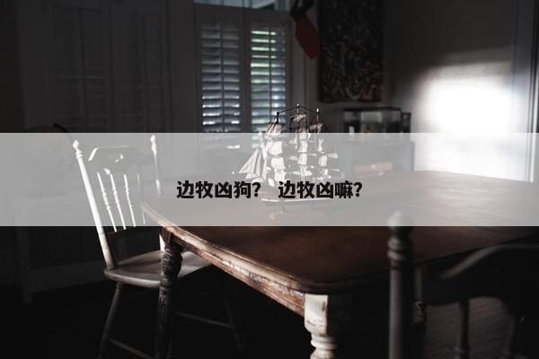 边牧凶狗？ 边牧凶嘛？
