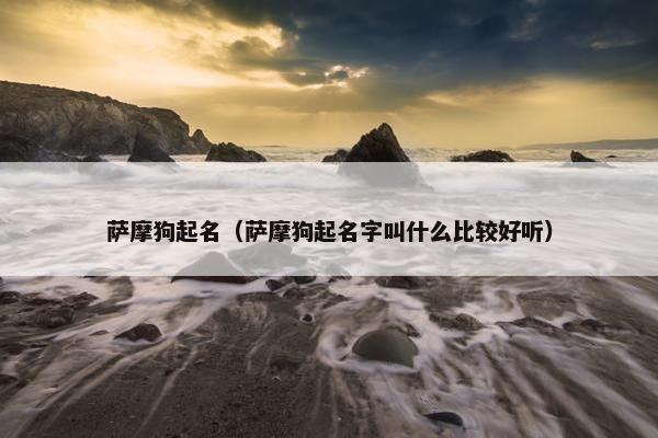 萨摩狗起名（萨摩狗起名字叫什么比较好听）