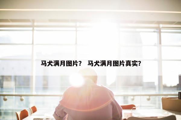 马犬满月图片？ 马犬满月图片真实？