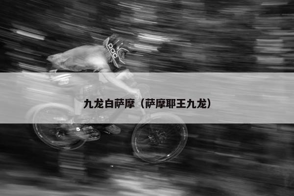 九龙白萨摩（萨摩耶王九龙）