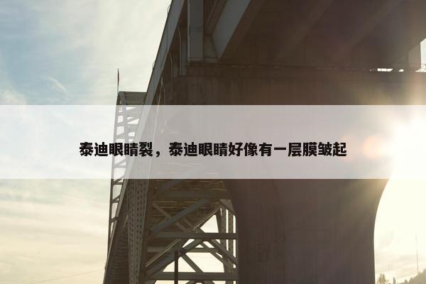 泰迪眼睛裂，泰迪眼睛好像有一层膜皱起