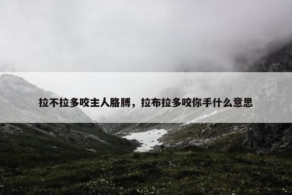 拉不拉多咬主人胳膊，拉布拉多咬你手什么意思