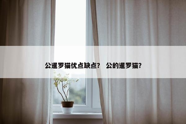 公暹罗猫优点缺点？ 公的暹罗猫？