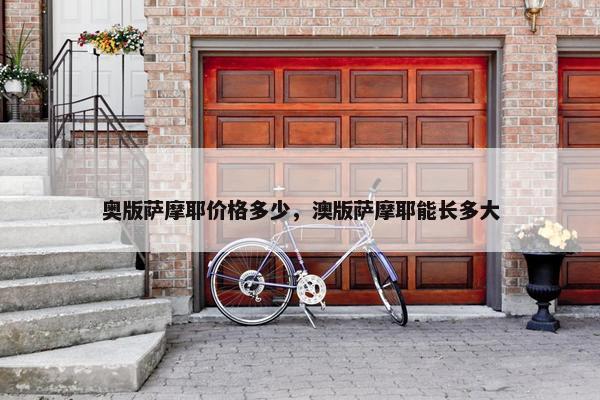 奥版萨摩耶价格多少，澳版萨摩耶能长多大