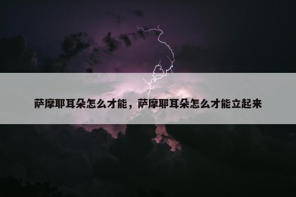 萨摩耶耳朵怎么才能，萨摩耶耳朵怎么才能立起来