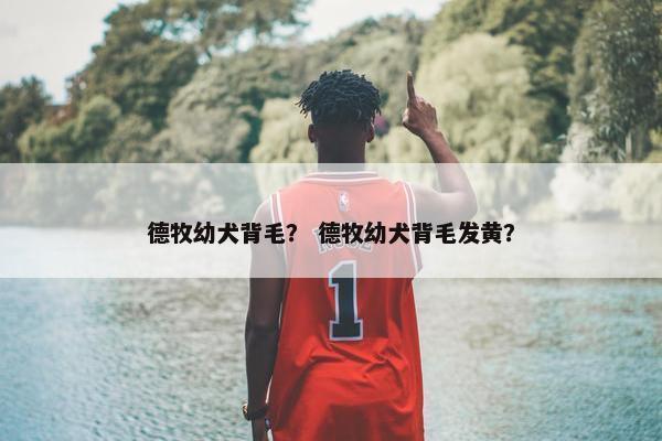 德牧幼犬背毛？ 德牧幼犬背毛发黄？
