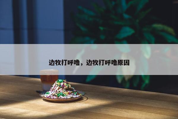 边牧打呼噜，边牧打呼噜原因
