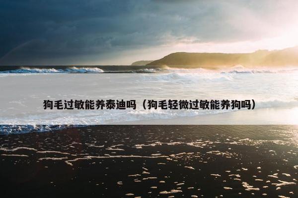 狗毛过敏能养泰迪吗（狗毛轻微过敏能养狗吗）