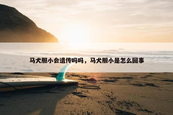 马犬胆小会遗传吗吗，马犬胆小是怎么回事