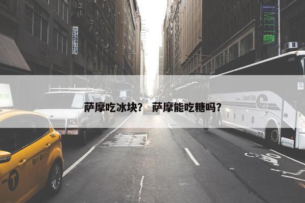 萨摩吃冰块？ 萨摩能吃糖吗？