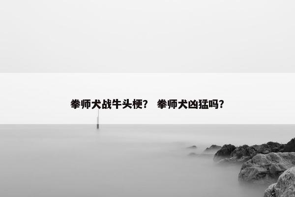 拳师犬战牛头梗？ 拳师犬凶猛吗？