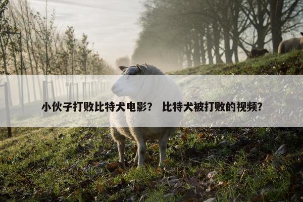 小伙子打败比特犬电影？ 比特犬被打败的视频？