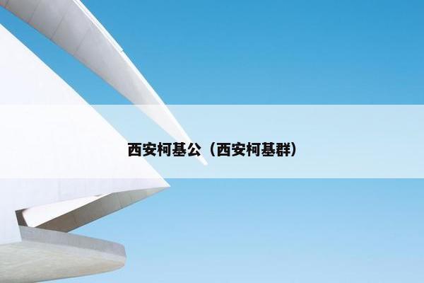 西安柯基公（西安柯基群）