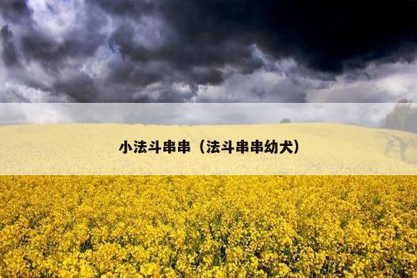 小法斗串串（法斗串串幼犬）