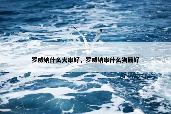 罗威纳什么犬串好，罗威纳串什么狗最好