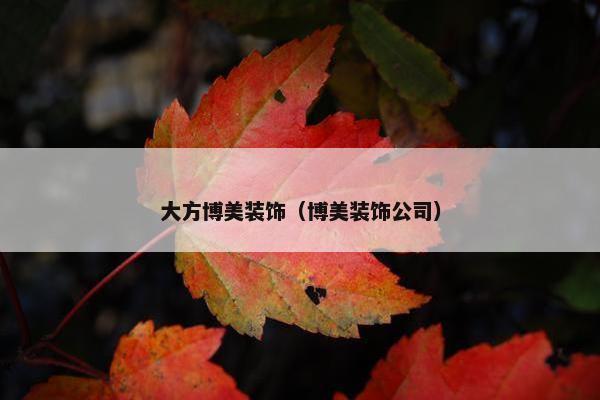 大方博美装饰（博美装饰公司）