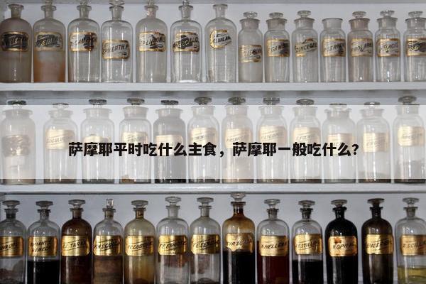 萨摩耶平时吃什么主食，萨摩耶一般吃什么?