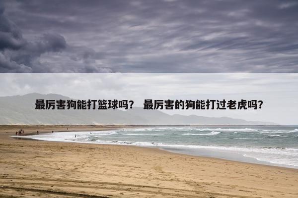 最厉害狗能打篮球吗？ 最厉害的狗能打过老虎吗？