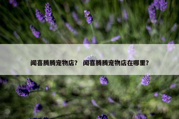 闻喜腾腾宠物店？ 闻喜腾腾宠物店在哪里？