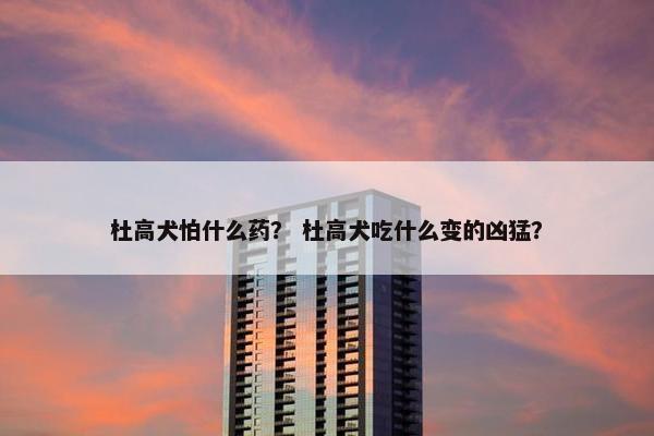 杜高犬怕什么药？ 杜高犬吃什么变的凶猛？