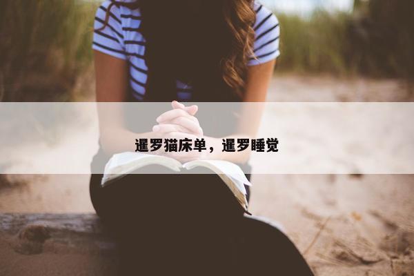 暹罗猫床单，暹罗睡觉
