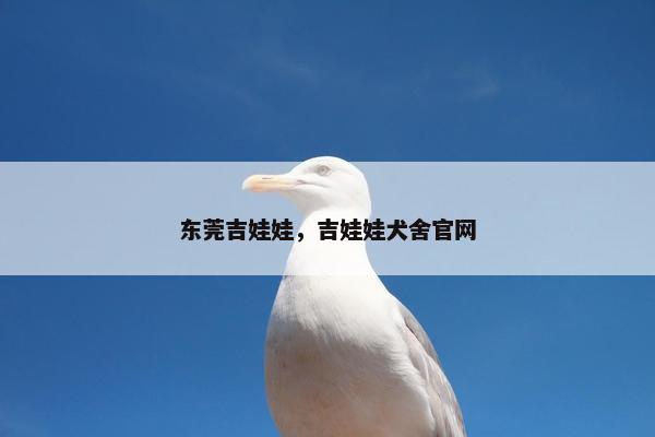 东莞吉娃娃，吉娃娃犬舍官网