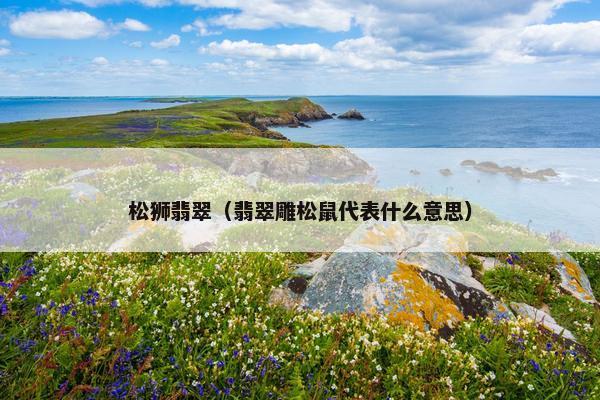 松狮翡翠（翡翠雕松鼠代表什么意思）
