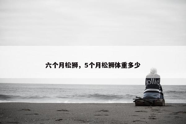 六个月松狮，5个月松狮体重多少
