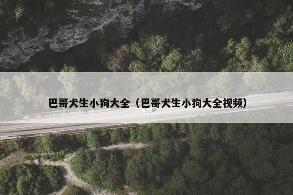巴哥犬生小狗大全（巴哥犬生小狗大全视频）