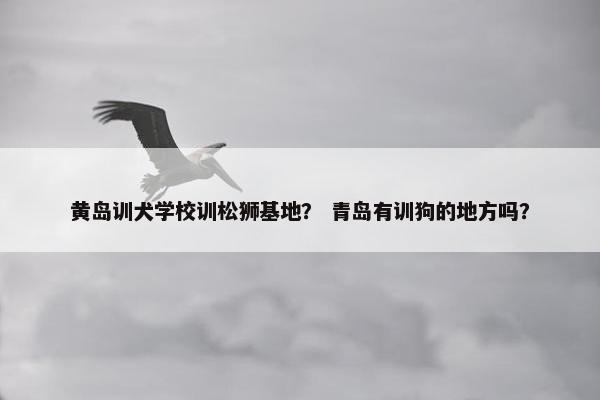黄岛训犬学校训松狮基地？ 青岛有训狗的地方吗？