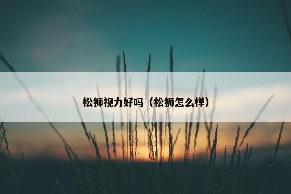 松狮视力好吗（松狮怎么样）