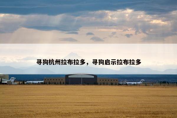 寻狗杭州拉布拉多，寻狗启示拉布拉多