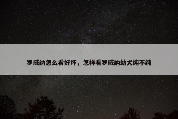 罗威纳怎么看好坏，怎样看罗威纳幼犬纯不纯