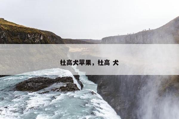 杜高犬苹果，杜高 犬