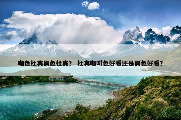 咖色杜宾黑色杜宾？ 杜宾咖啡色好看还是黑色好看？