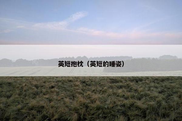 英短抱枕（英短的睡姿）