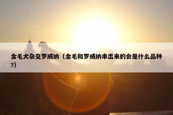 金毛犬杂交罗威纳（金毛和罗威纳串出来的会是什么品种?）