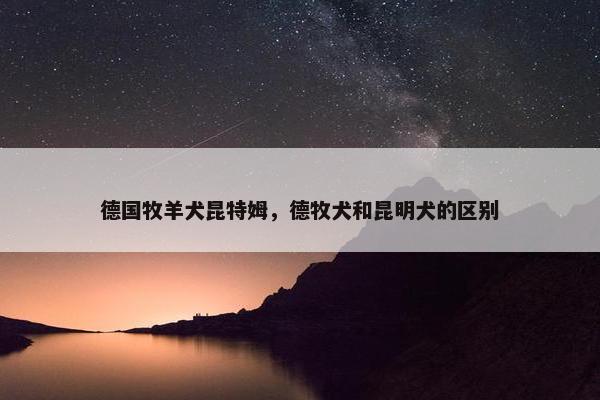 德国牧羊犬昆特姆，德牧犬和昆明犬的区别