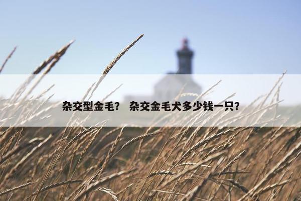 杂交型金毛？ 杂交金毛犬多少钱一只？