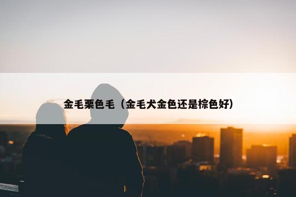 金毛栗色毛（金毛犬金色还是棕色好）