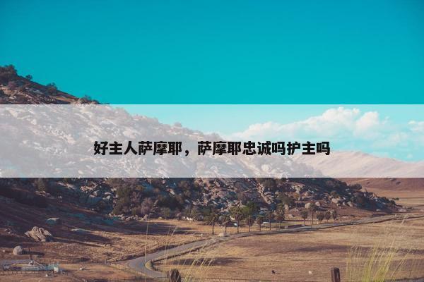 好主人萨摩耶，萨摩耶忠诚吗护主吗