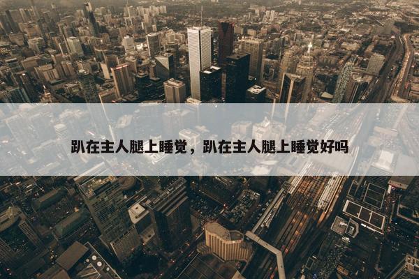 趴在主人腿上睡觉，趴在主人腿上睡觉好吗