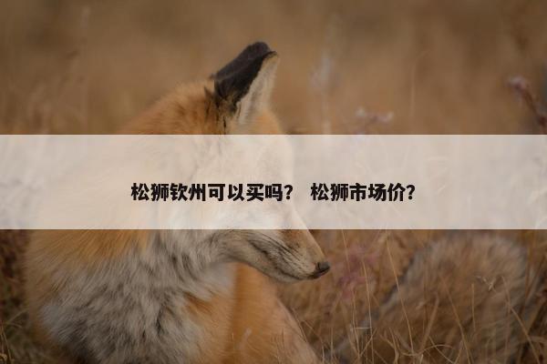 松狮钦州可以买吗？ 松狮市场价？