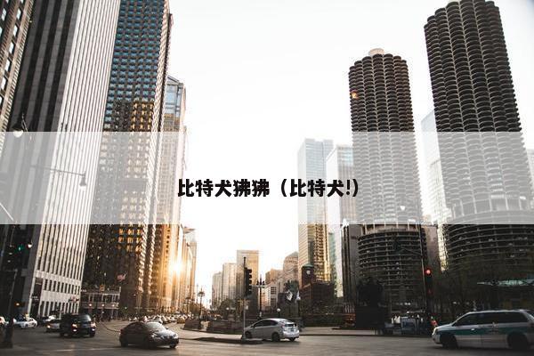 比特犬狒狒（比特犬!）