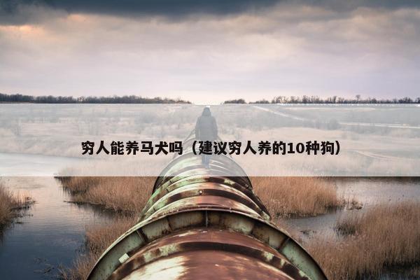 穷人能养马犬吗（建议穷人养的10种狗）