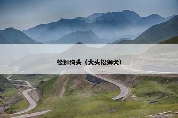 松狮狗头（大头松狮犬）