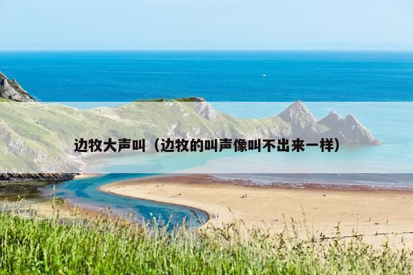 边牧大声叫（边牧的叫声像叫不出来一样）