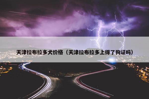 天津拉布拉多犬价格（天津拉布拉多上得了狗证吗）