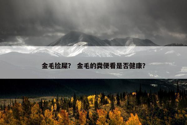 金毛捡屎？ 金毛的粪便看是否健康？