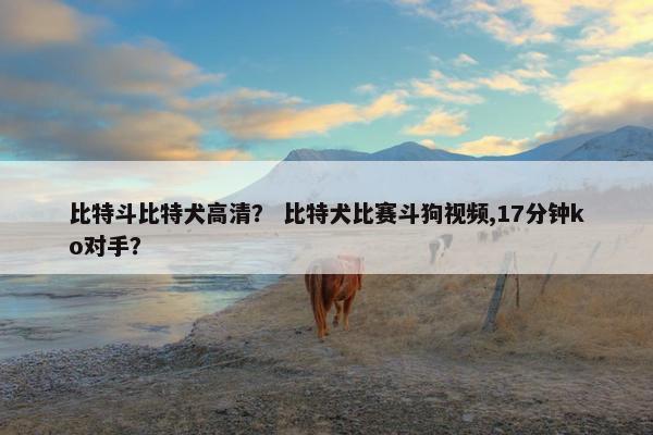 比特斗比特犬高清？ 比特犬比赛斗狗视频,17分钟ko对手？